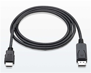 Display port