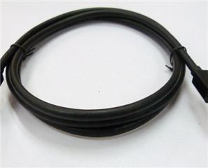 Display port