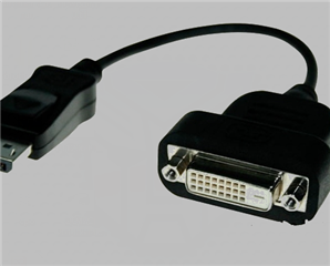 Display port